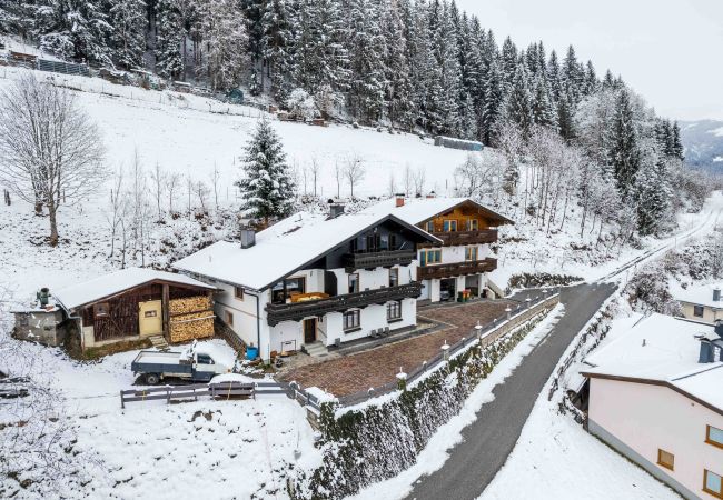 Apartment in Zell am See - Apartment Bauernhof Birkhöfl - TOP 3