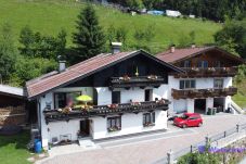 Apartment in Zell am See - Apartment Bauernhof Birkhöfl - TOP 3